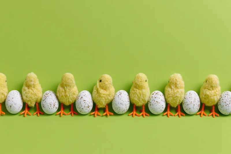Row of fluffy yellow toy chicks with orange legs and speckled eggs on green background