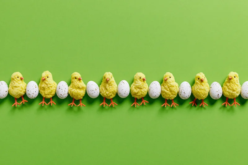 Row of yellow toy chicks with orange legs and white speckled eggs arranged in a line on green background