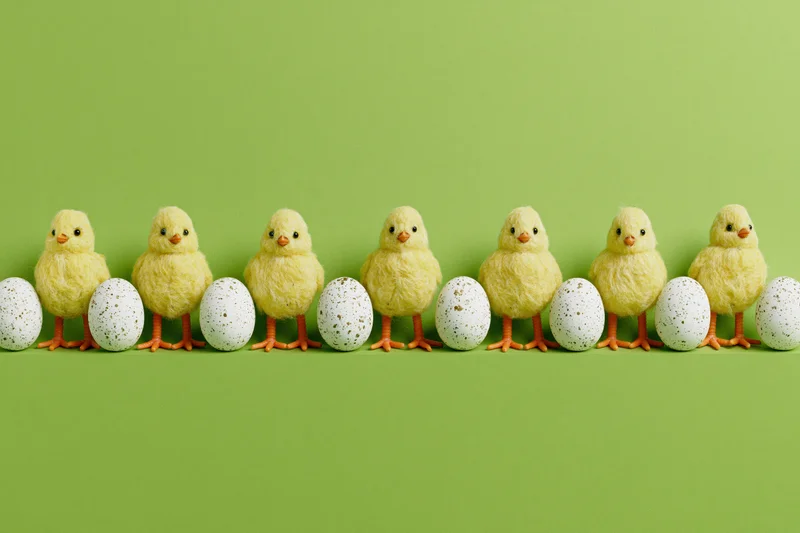 Row of fluffy yellow toy chicks with orange legs and speckled eggs on green background