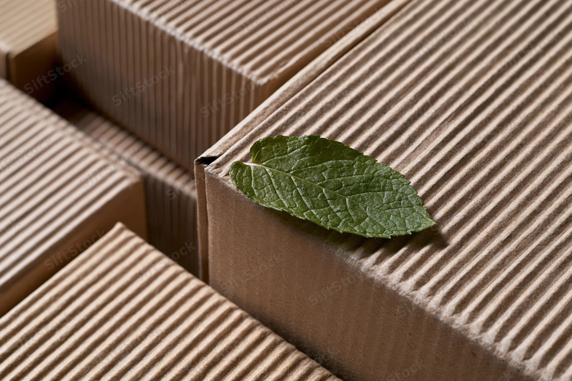 A fresh green mint leaf resting on the edge of a corrugated cardboard box among stacked packages