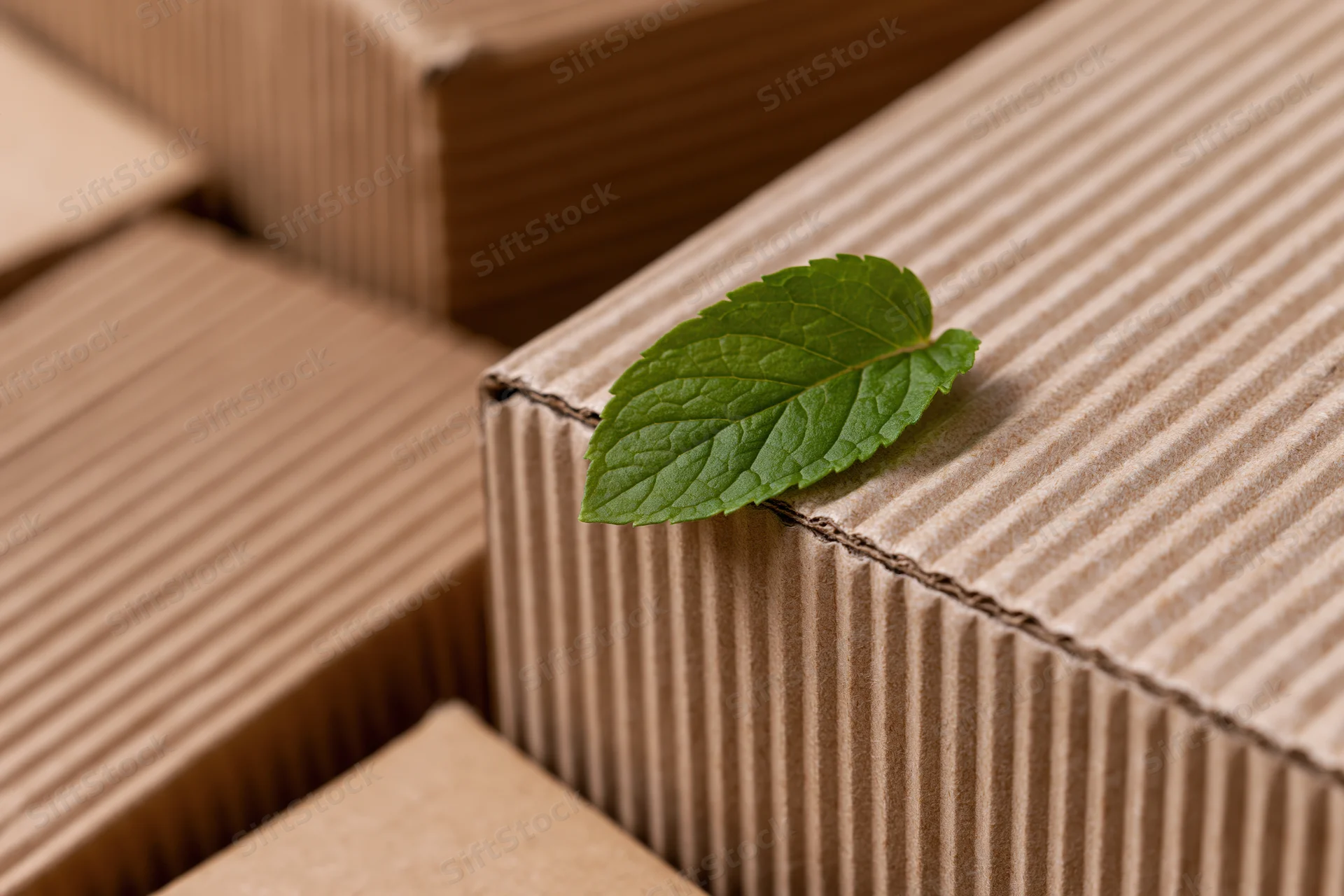 A fresh green mint leaf resting on the edge of a corrugated cardboard box among stacked packages