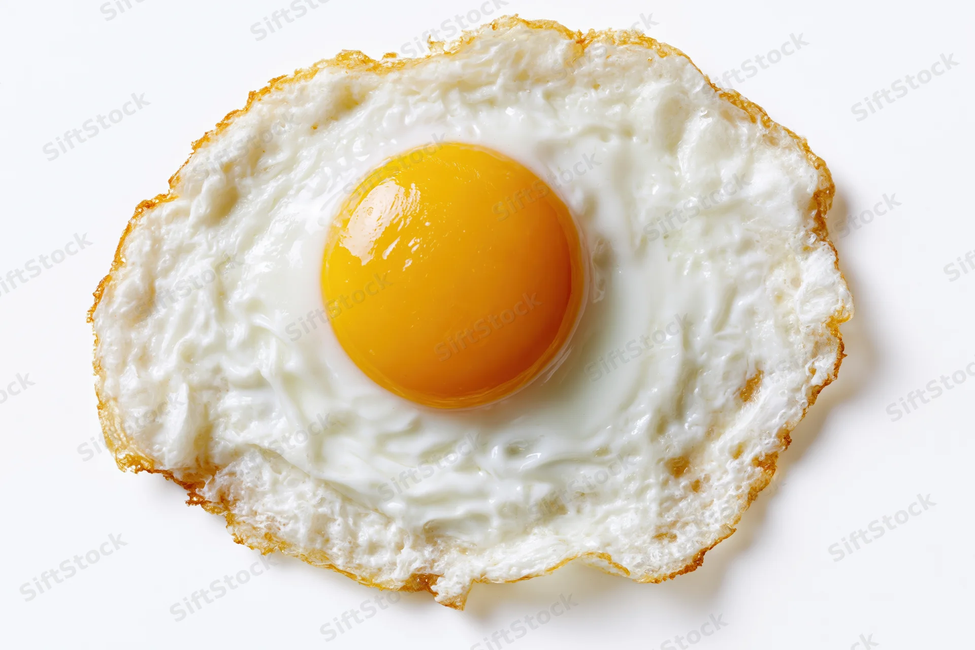 Single fried egg sunny-side up on plain white background