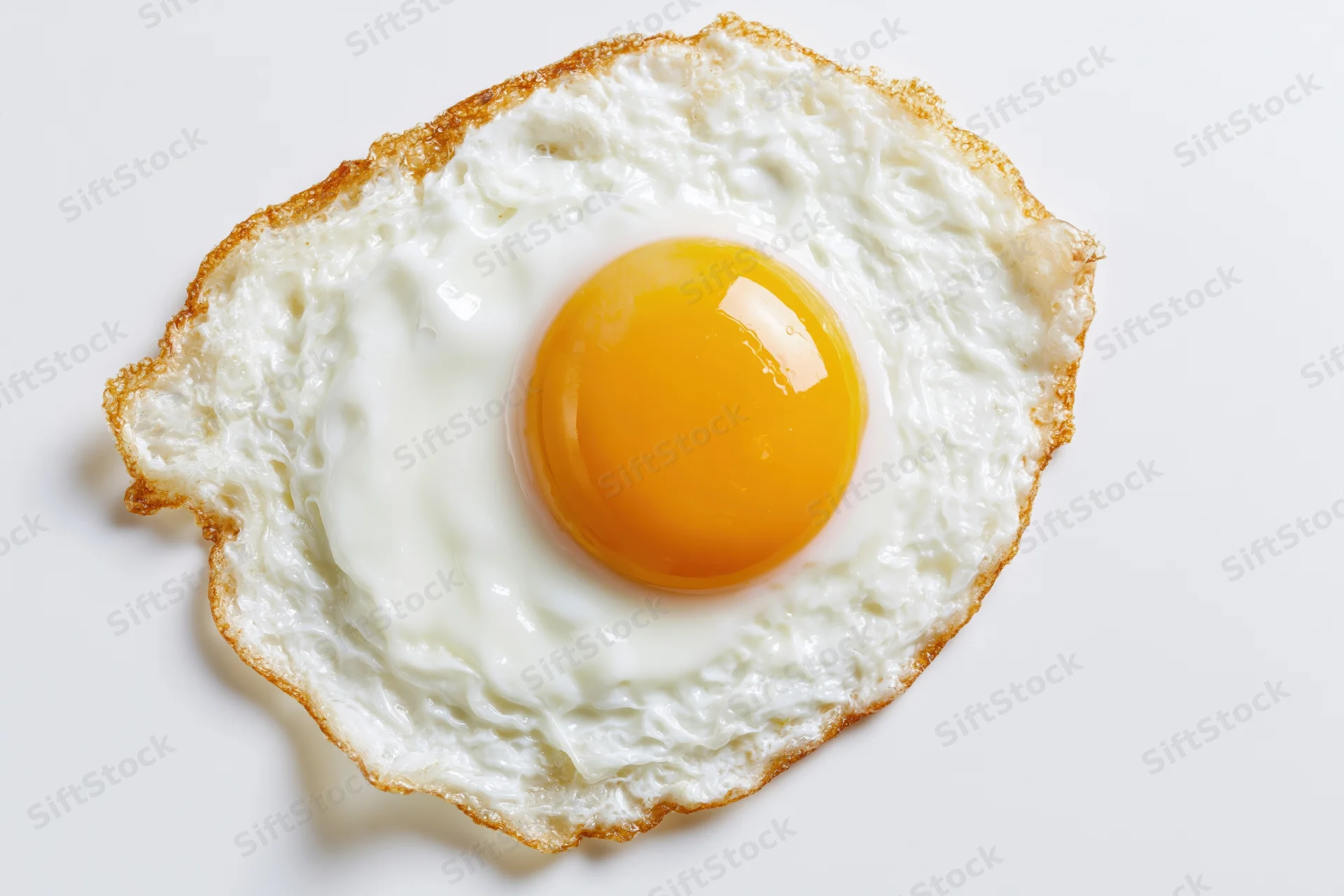 Single fried egg sunny-side up on plain white background