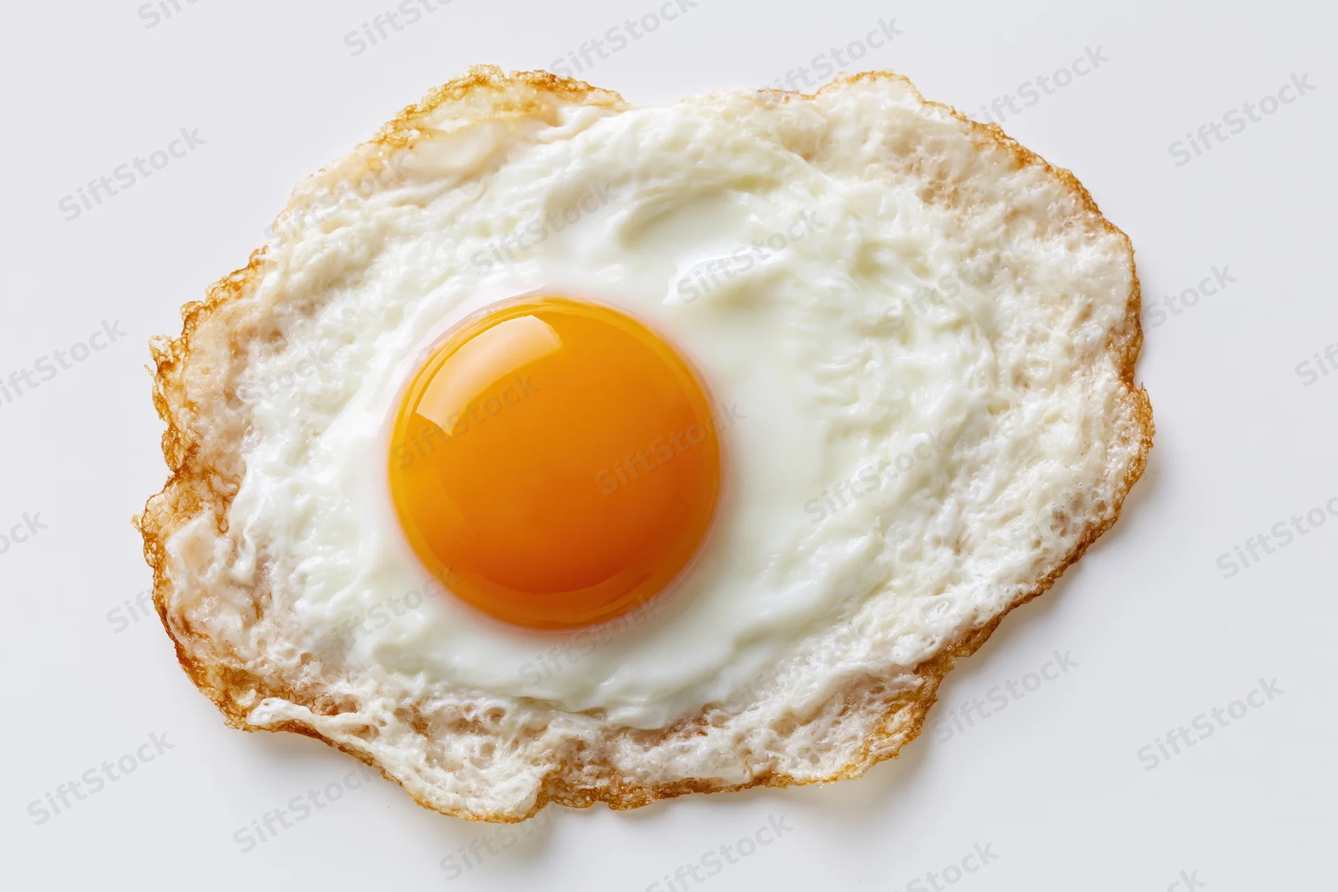 Single fried egg sunny-side up on plain white surface