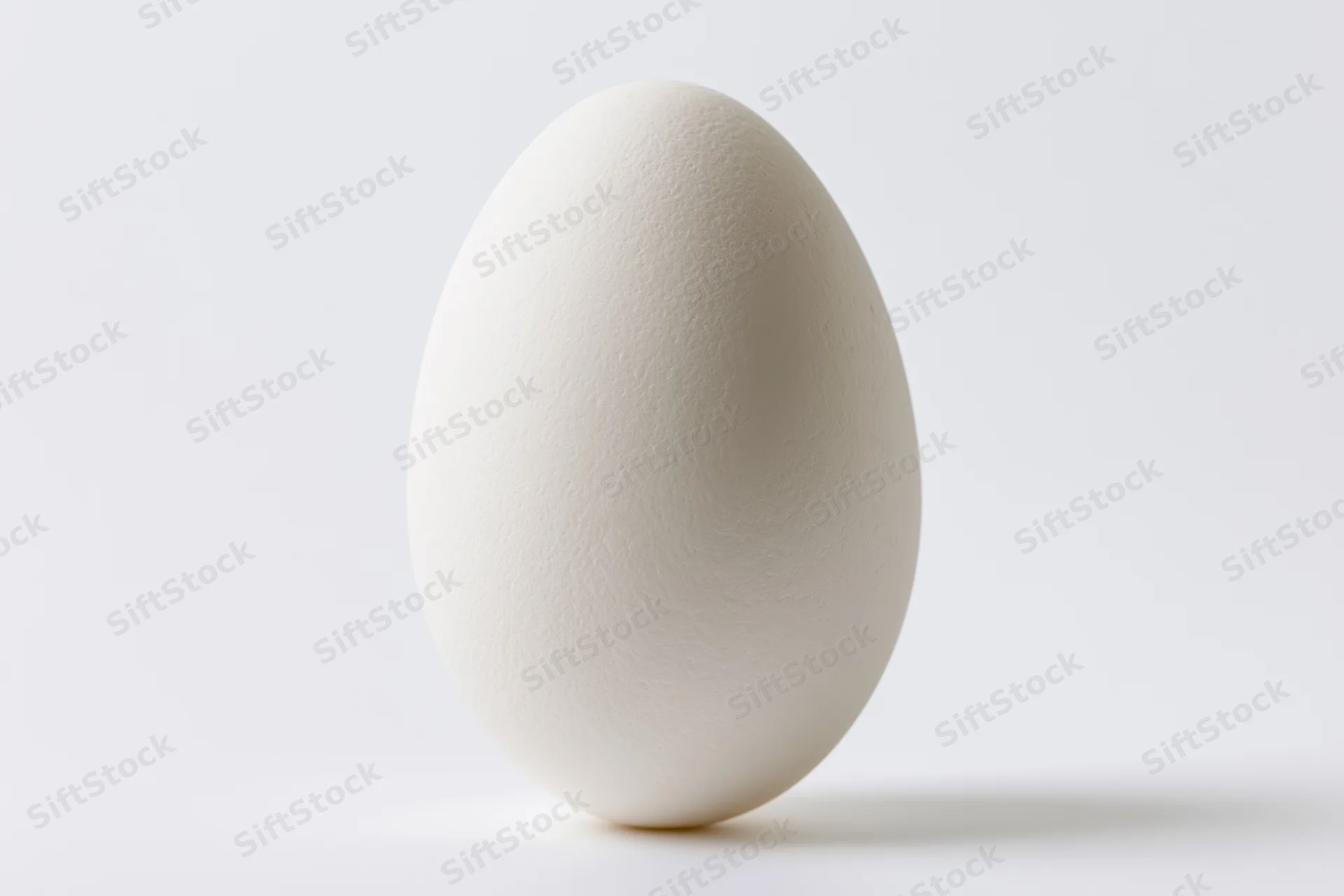 Single white chicken egg standing upright on a clean white surface