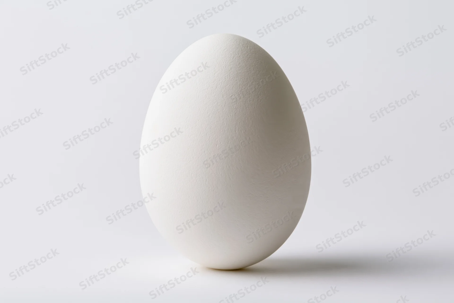 Single white chicken egg standing upright on a clean white surface