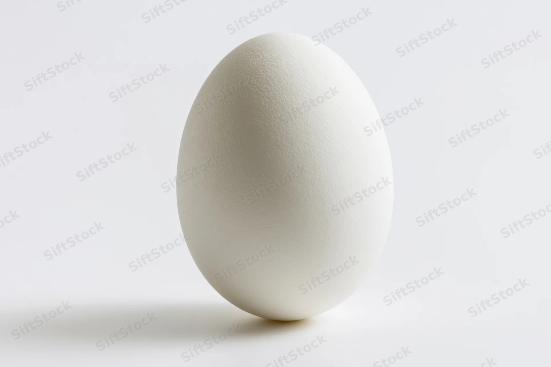 Single white chicken egg standing upright on a clean white surface