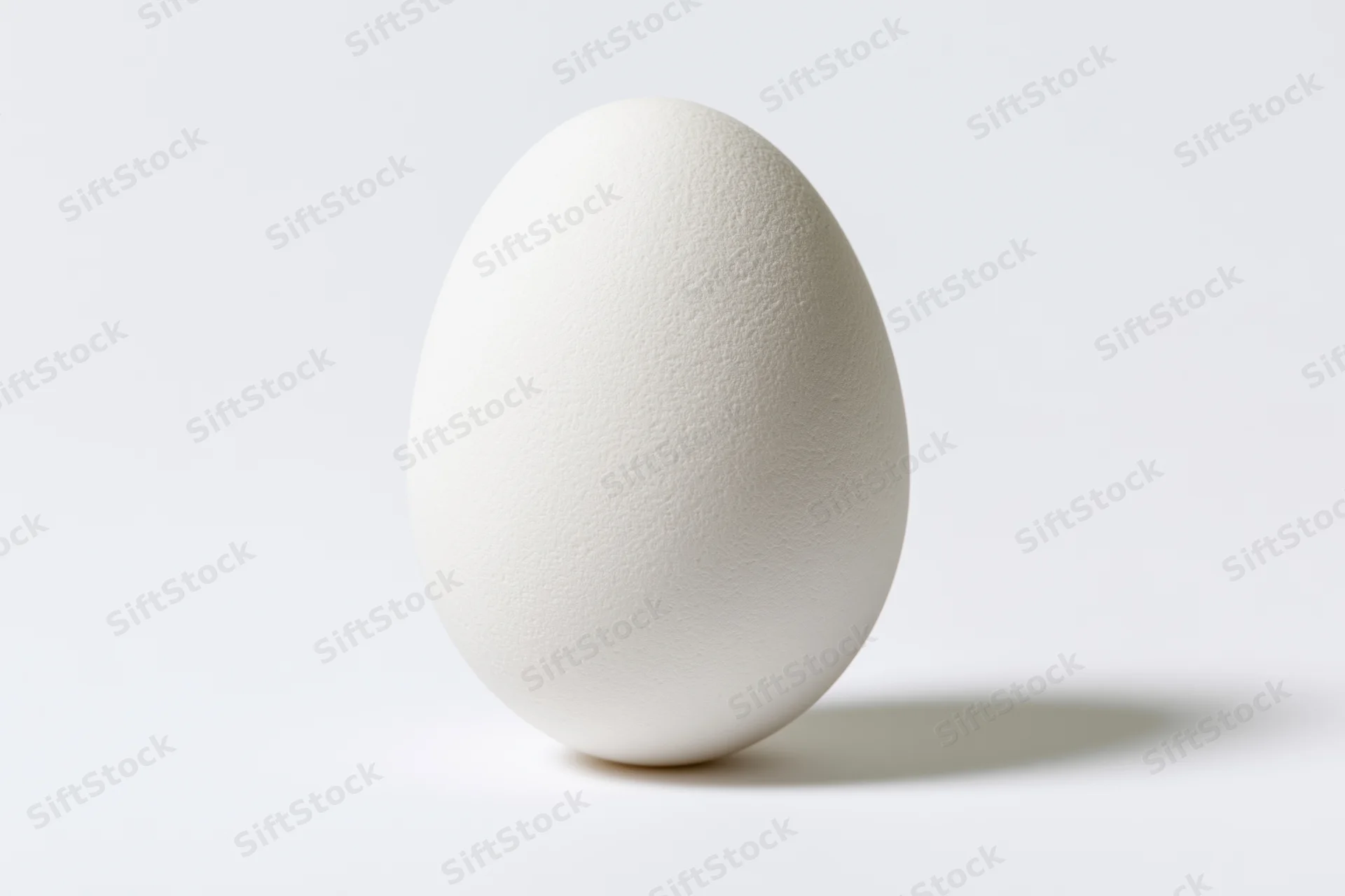 Single white chicken egg standing upright on a pure white surface