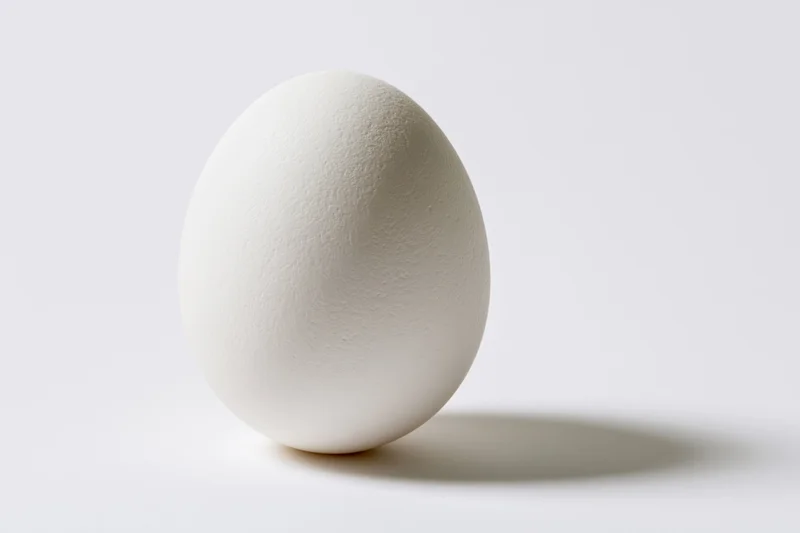 Single white chicken egg standing upright on a pure white surface
