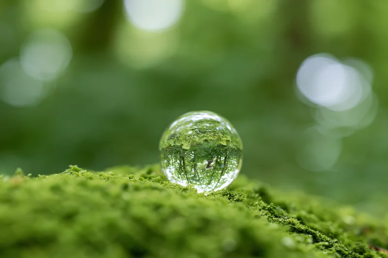 Clear glass sphere resting on vibrant green moss in a forest setting with blurred natural background