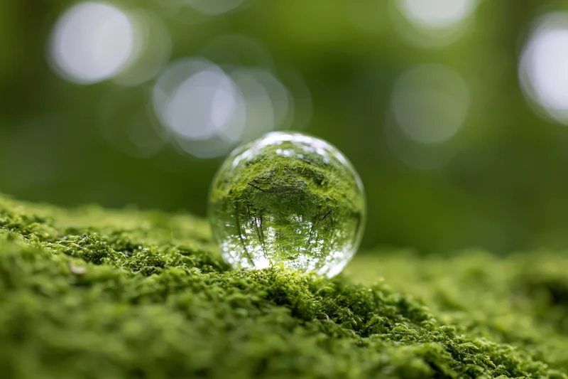 Clear glass sphere resting on vibrant green moss in a forest setting with blurred natural background