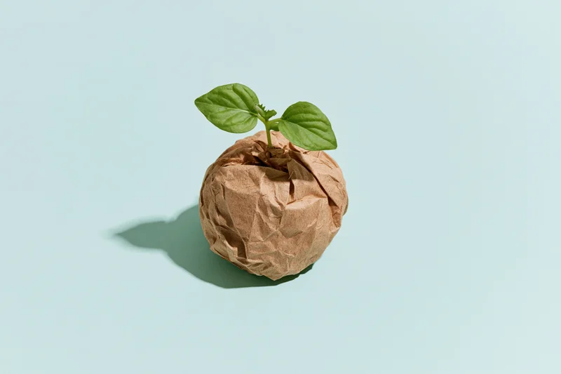Small green seedling sprouting from crumpled brown paper on light blue background