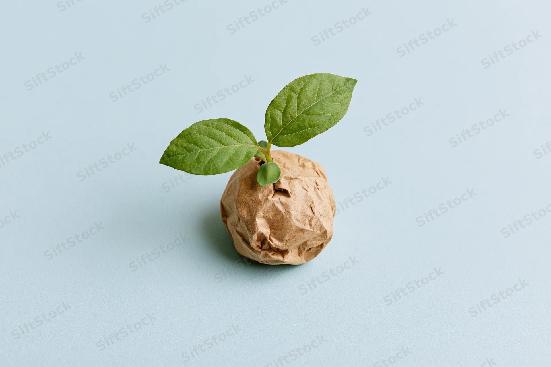 Small green seedling sprouting from crumpled brown paper on light blue background