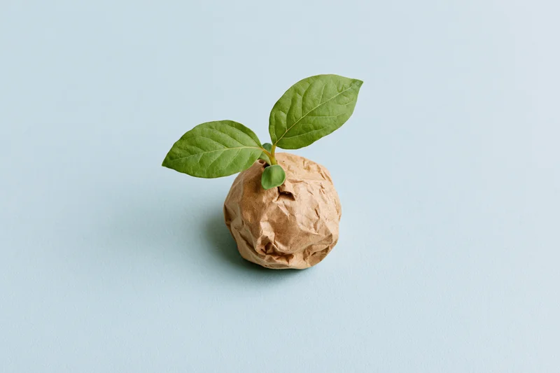 Small green seedling sprouting from crumpled brown paper on light blue background