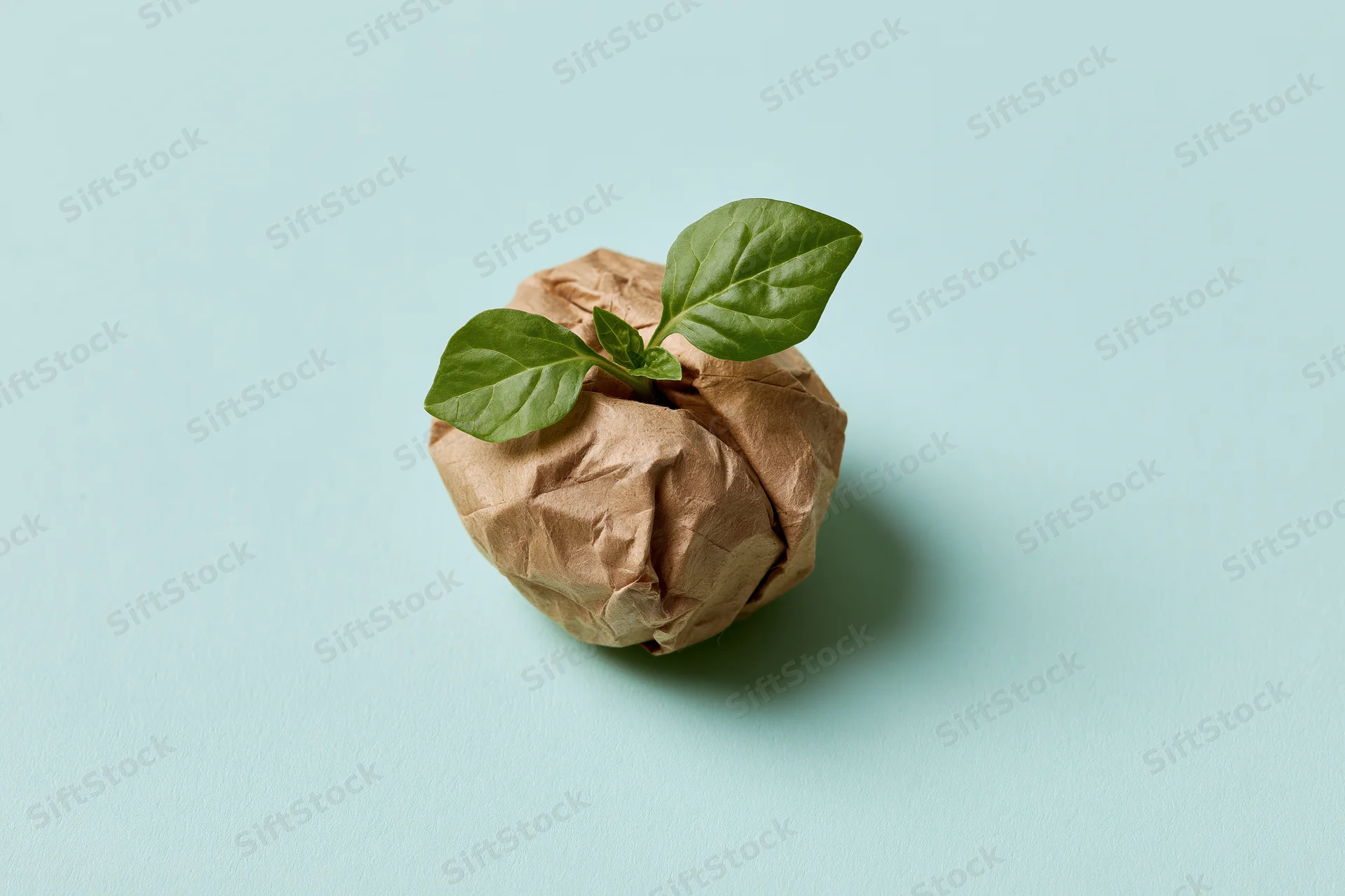Small green seedling sprouting from crumpled brown paper on light blue background