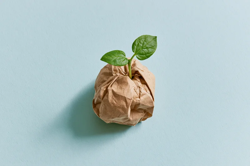 Small green seedling sprouting from crumpled brown paper on light blue background