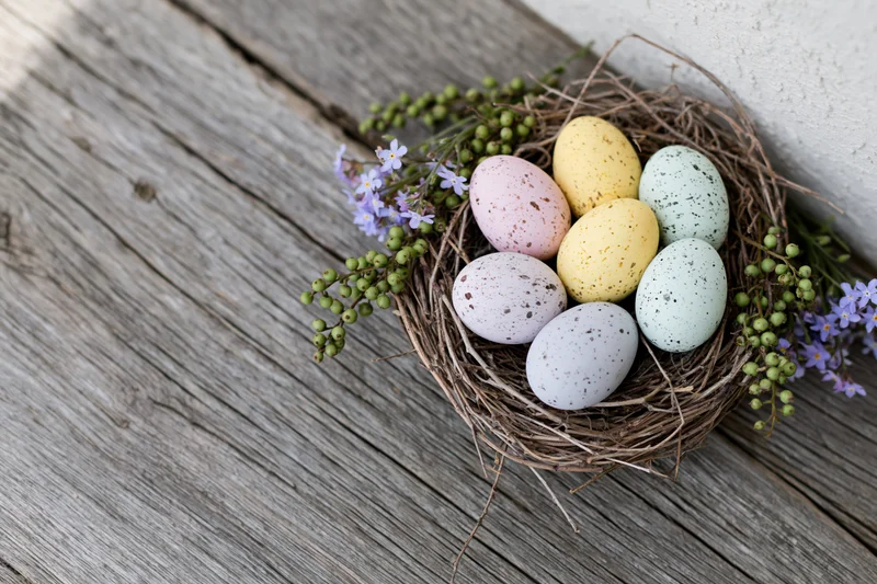 Pastel speckled Easter eggs in a rustic twig nest on weathered wood with purple flowers and green berries