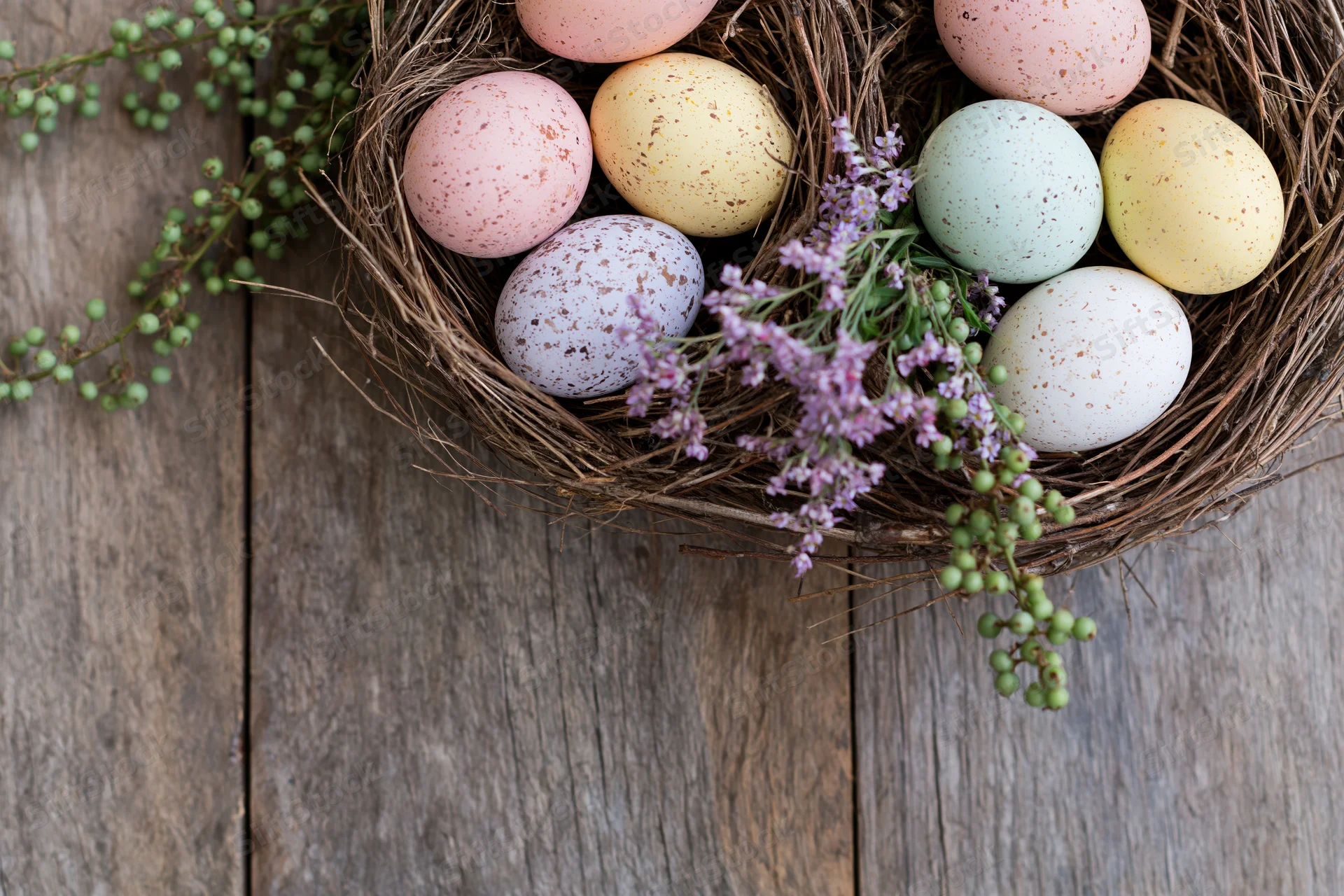 Pastel speckled easter eggs in a rustic bird's nest on a wooden table with lavender and greenery