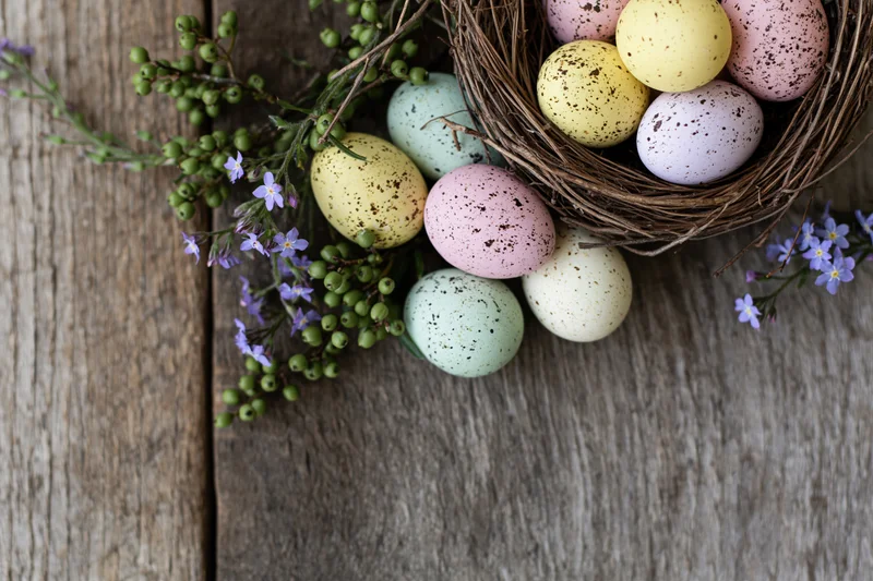 Pastel speckled easter eggs in a rustic bird's nest on wooden surface with purple flowers and green branches