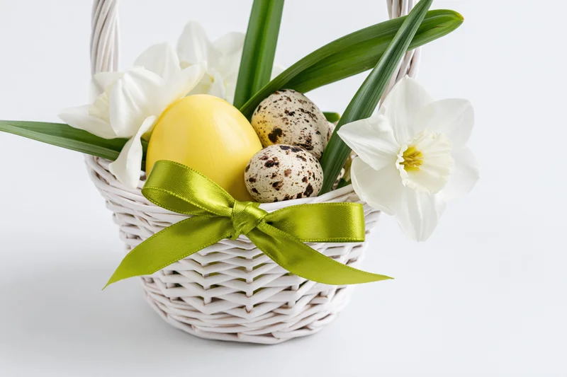 White wicker easter basket holding yellow painted egg, speckled quail eggs, and white daffodils with green ribbon bow
