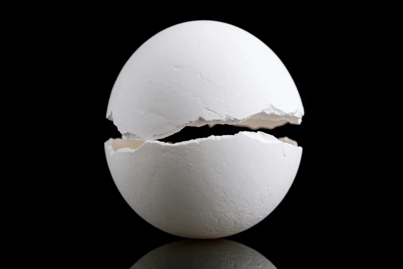 White eggshell split into top and bottom halves on black reflective surface