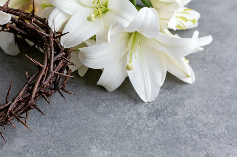Crown of thorns resting beside white lilies on a gray surface