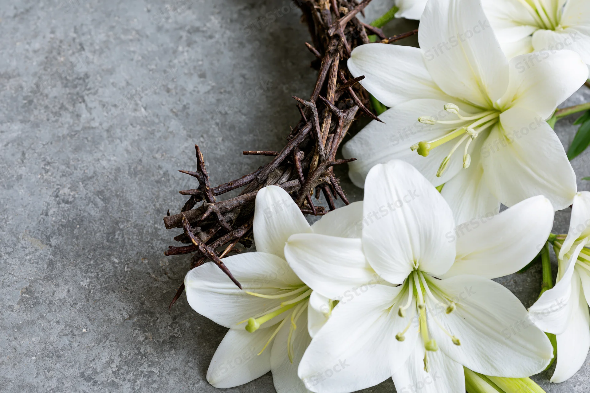 Woven crown of thorns resting beside white lilies on gray stone surface