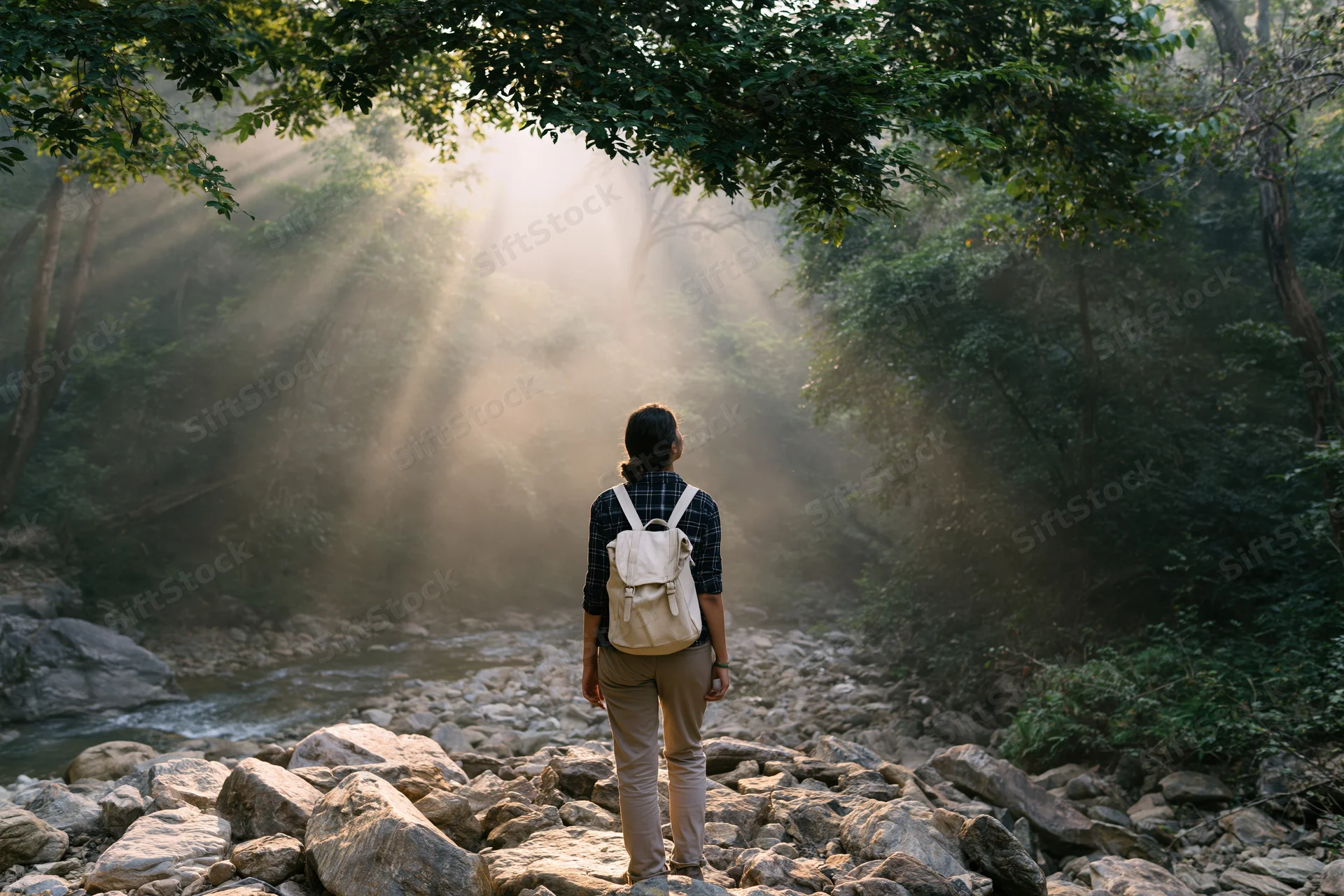 Woman with backpack standing on rocky riverbank in forest at sunrise