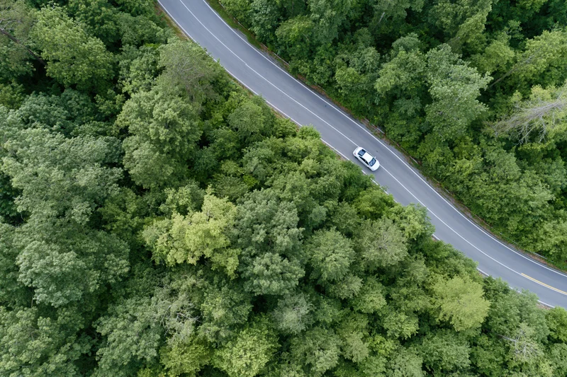 Aerial view of a white car driving on a winding two-lane asphalt road through a dense green forest