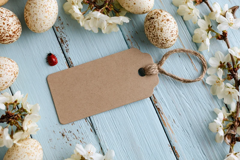 Blank kraft paper tag with twine loop lying flat on pale blue wooden surface surrounded by speckled eggs and white blossoms
