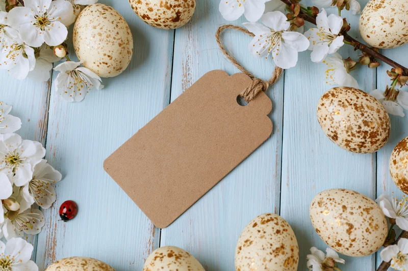 Blank kraft paper tag with twine loop lying flat on pale blue wooden surface surrounded by speckled eggs and white blossoms