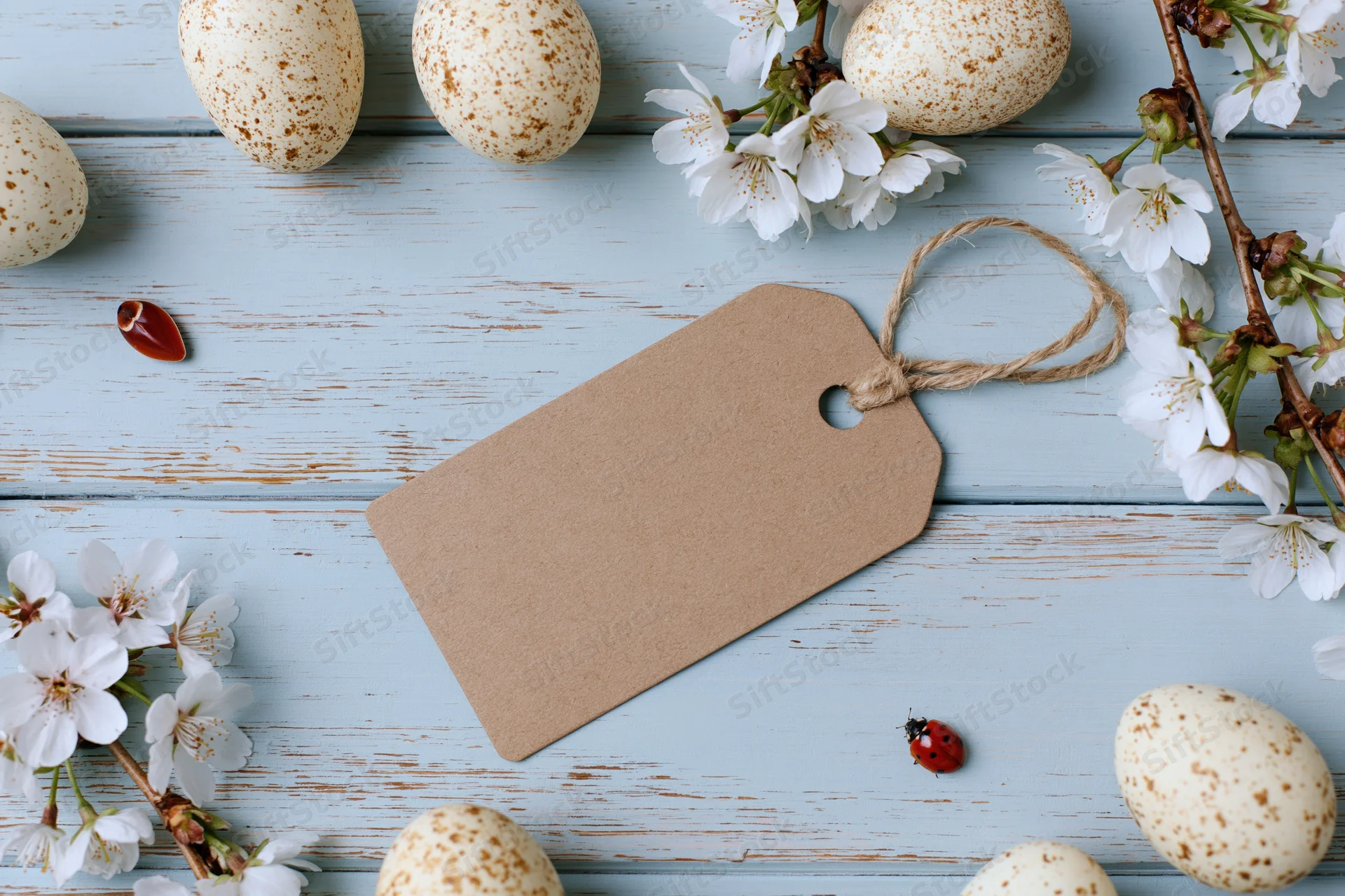 Blank kraft paper tag with twine loop lying flat on pale blue wooden surface surrounded by speckled eggs, white blossoms, and ladybugs