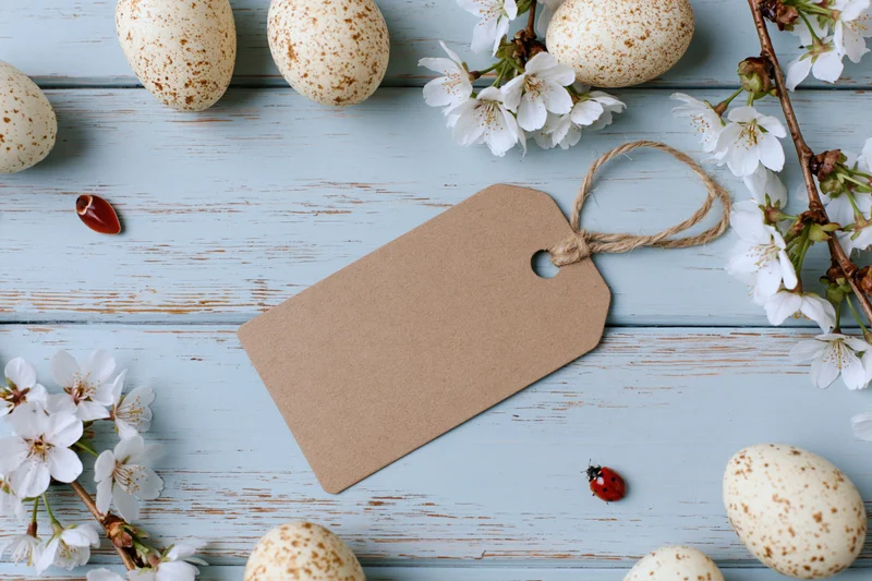 Blank kraft paper tag with twine loop lying flat on pale blue wooden surface surrounded by speckled eggs, white blossoms, and ladybugs
