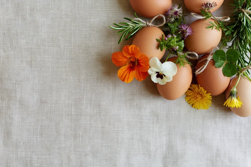 Brown chicken eggs decorated with wildflowers and herbs arranged on a linen fabric surface