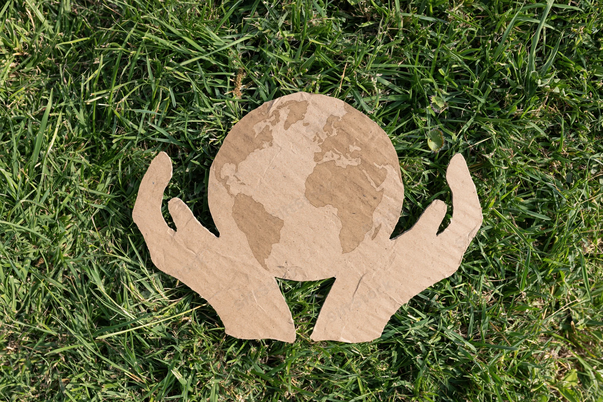 Cardboard cutout of two hands holding a globe on green grass