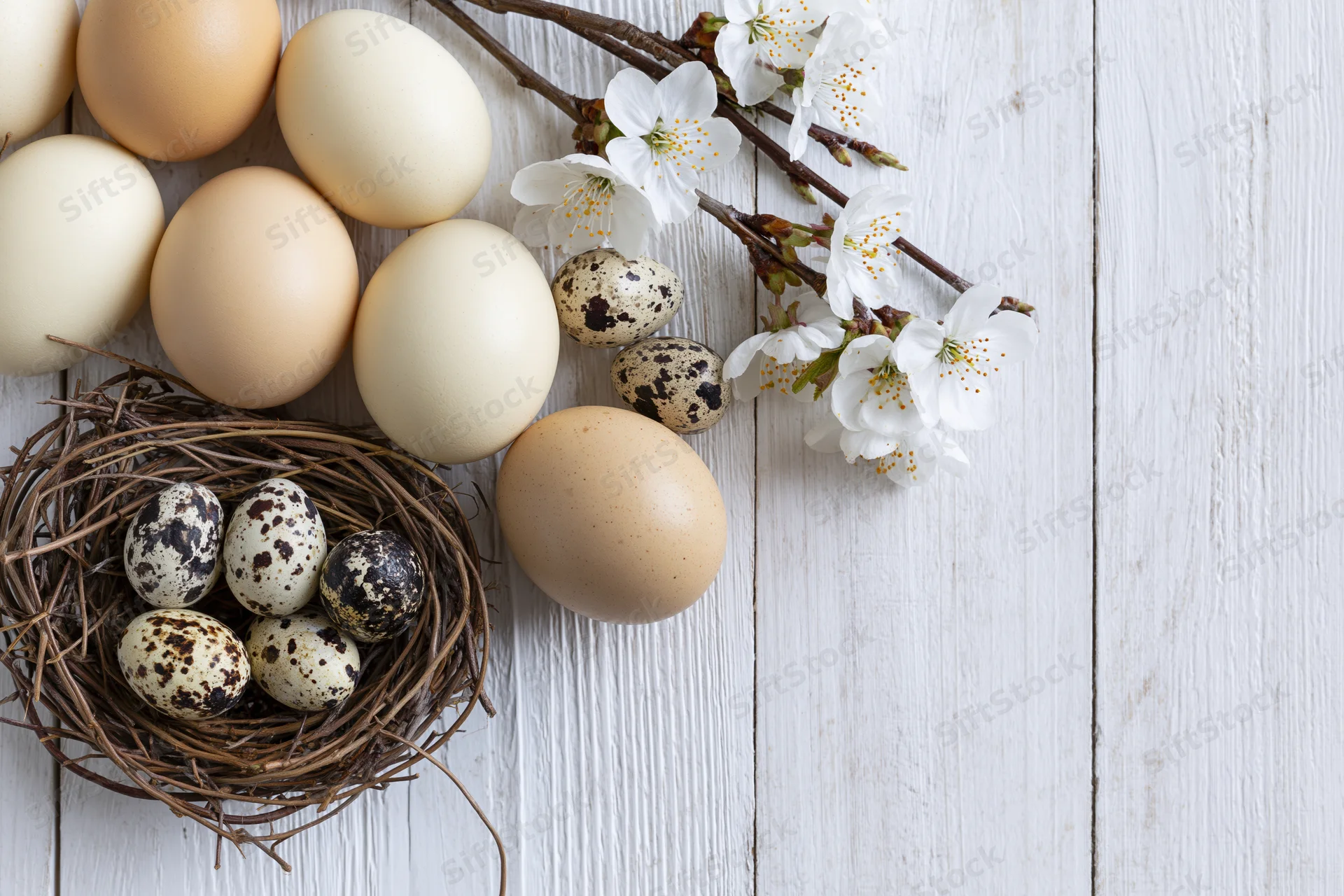 Chicken and quail eggs arranged with a nest and blossoming branch on a white wooden table