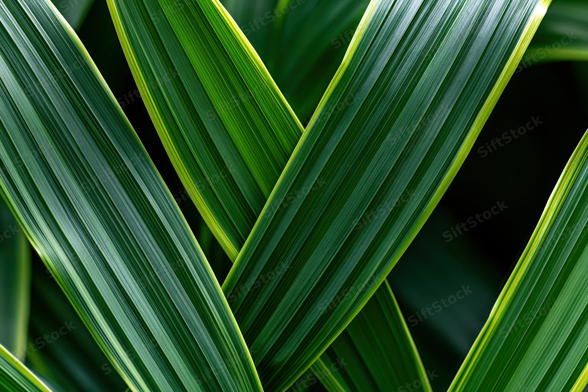 Overlapping long green leaves arranged in a dense natural pattern