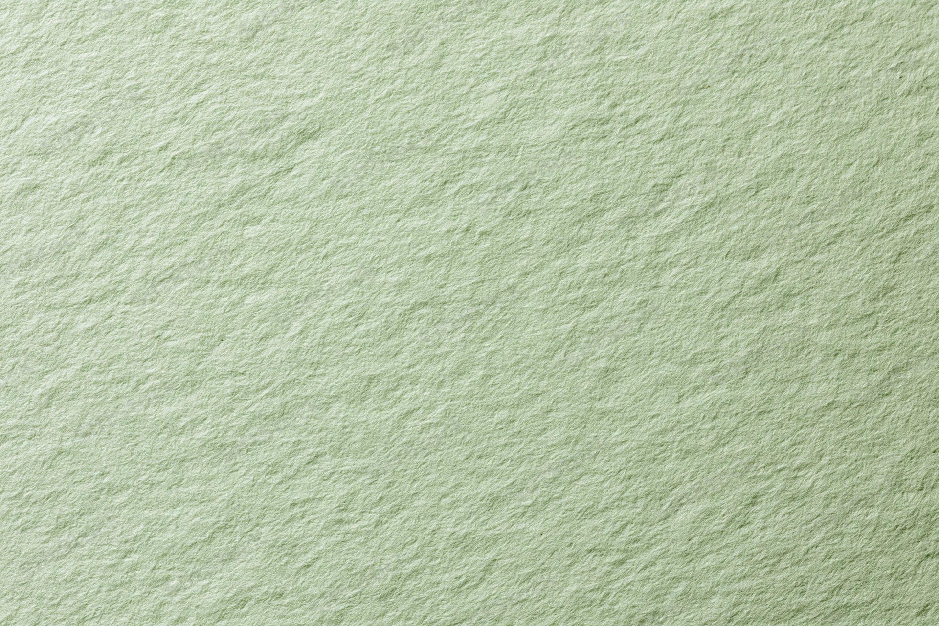 Close-up flat lay of pale sage green textured paper surface