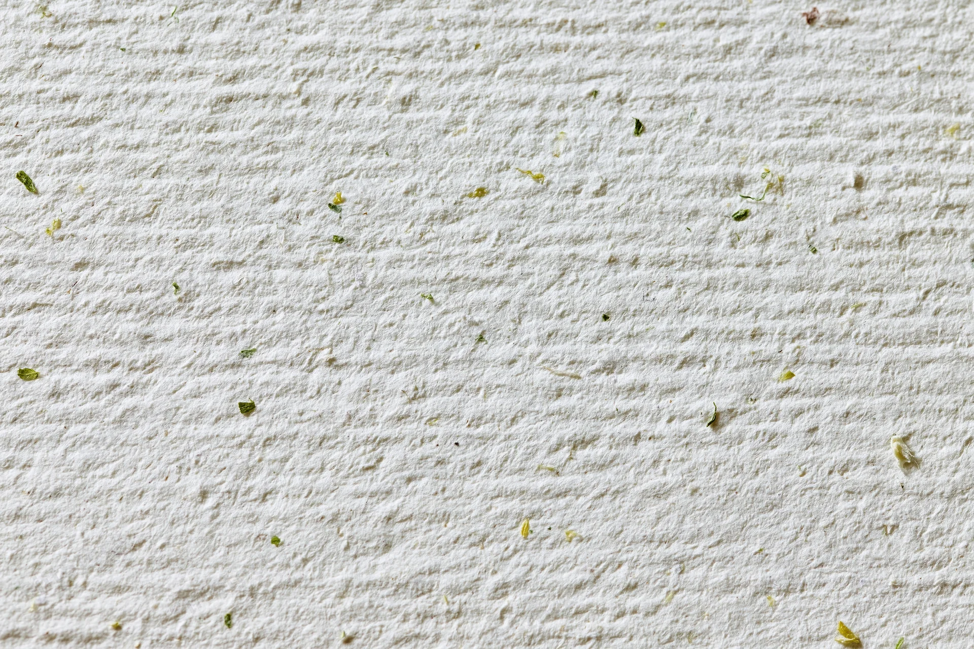 Close-up flat lay of off-white recycled paper with scattered green plant fragments on textured surface