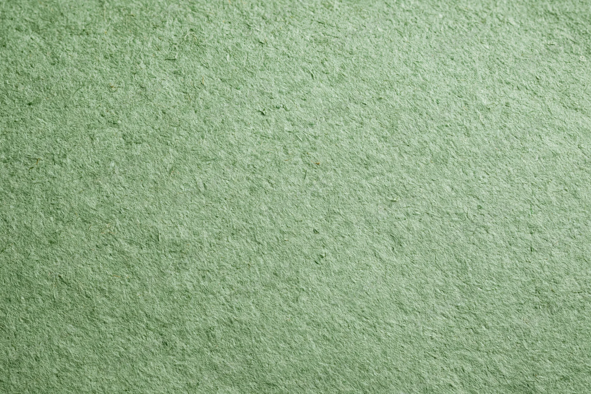 Close-up flat lay of a sheet of recycled green paper filling the frame