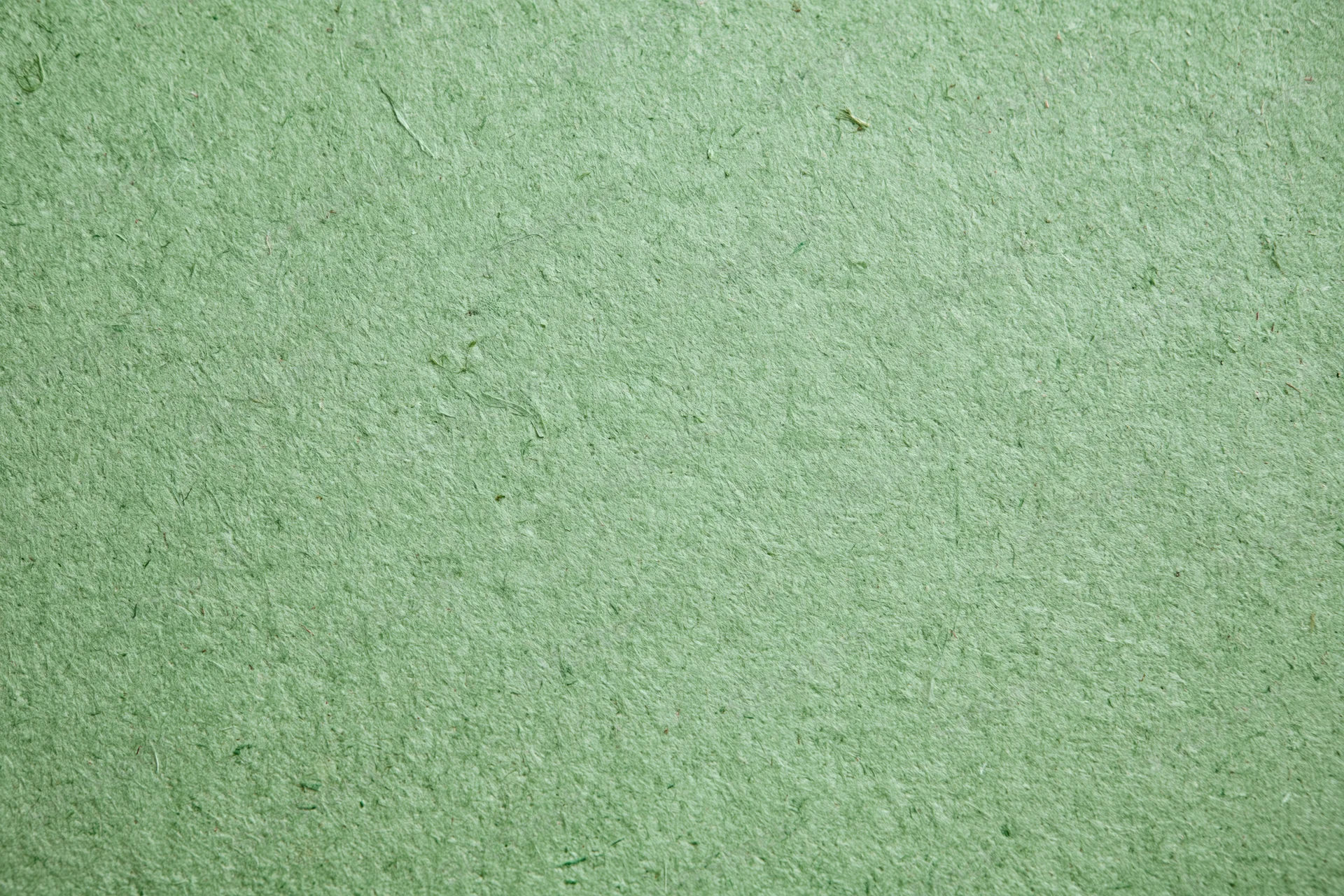 Close-up flat lay of a sheet of recycled green paper filling the frame