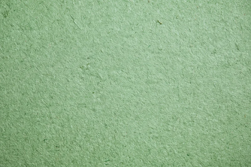 Close-up flat lay of a sheet of recycled green paper filling the frame