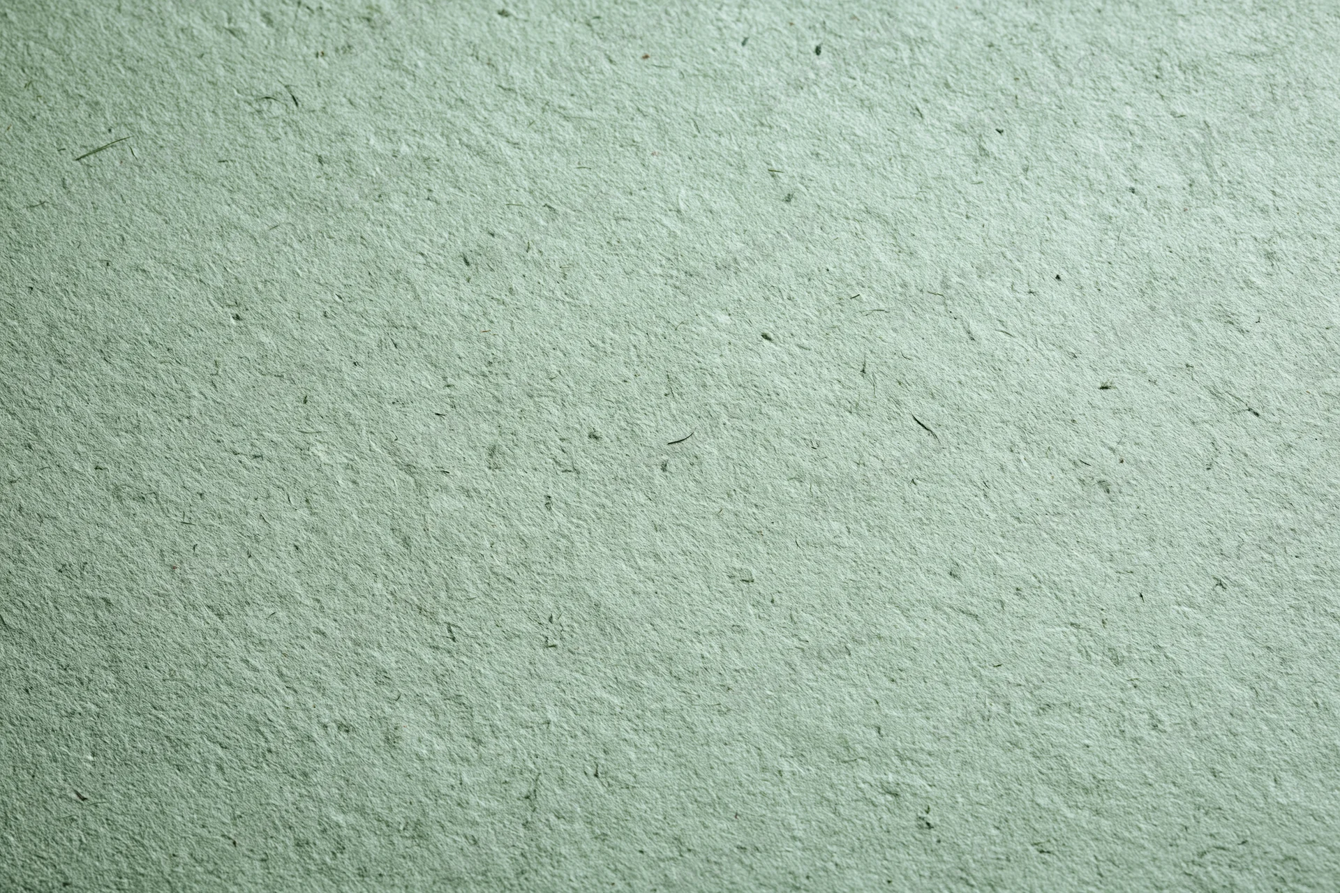 Close-up flat lay of a sheet of recycled green paper filling the frame