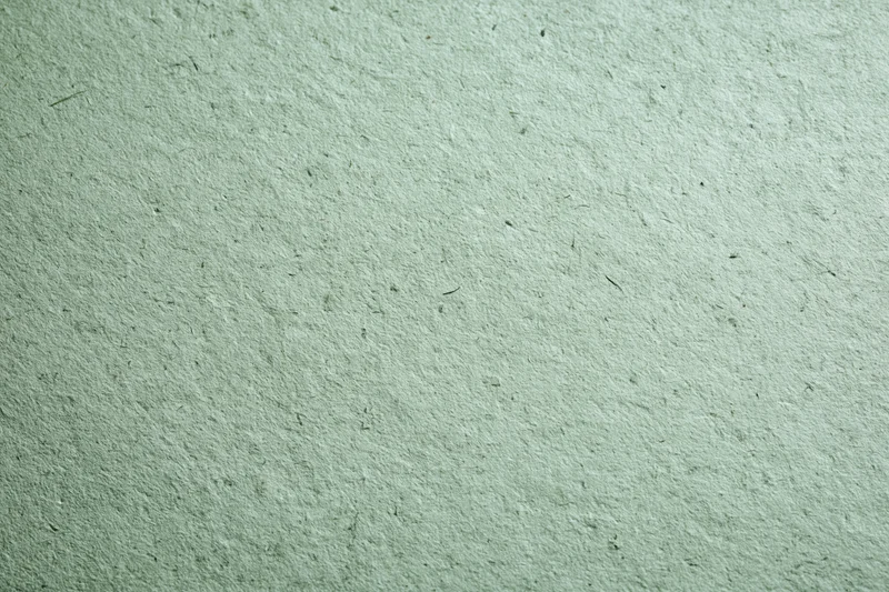 Close-up flat lay of a sheet of recycled green paper filling the frame