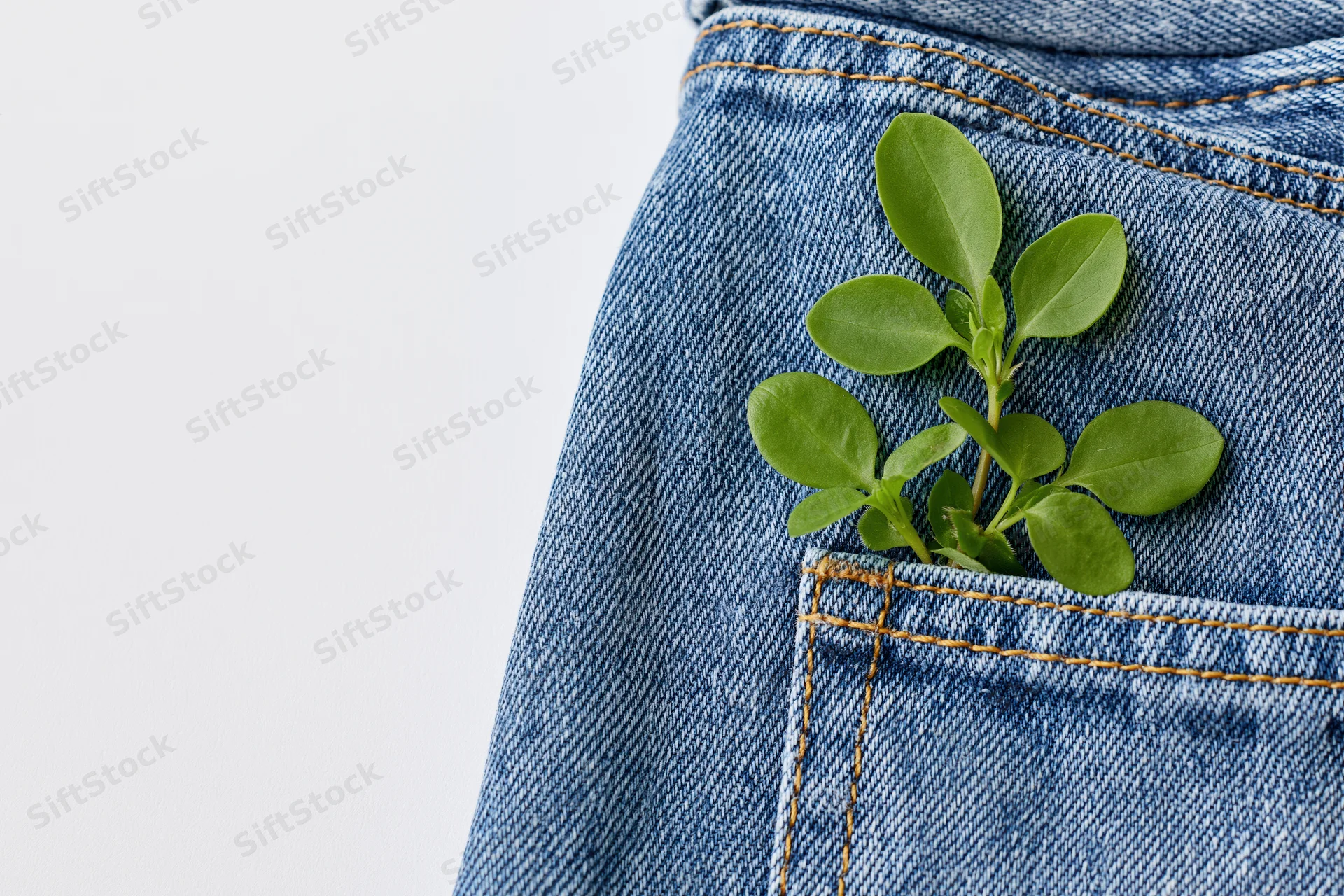 Small green herb sprig resting on denim jeans pocket