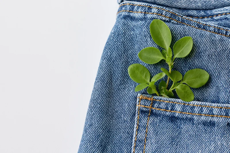 Small green herb sprig resting on denim jeans pocket