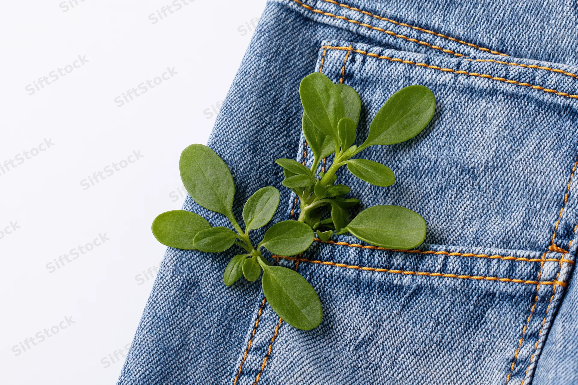 Small green herb sprig resting on denim jeans pocket with orange stitching