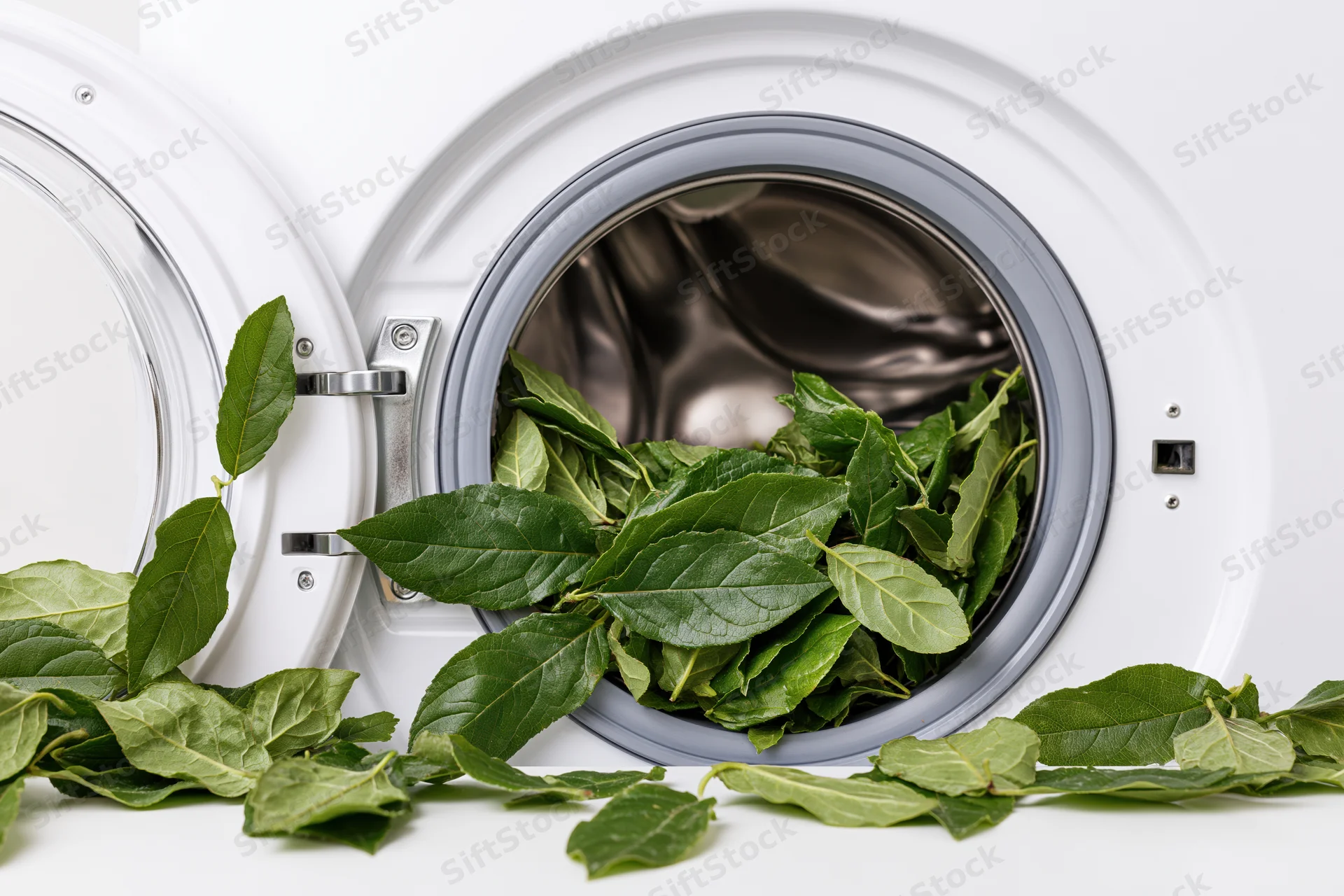 Open door of white front-loading washing machine revealing green leaves inside drum and spilling out onto surface