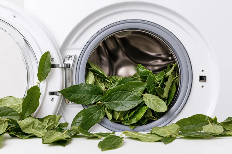 Open door of white front-loading washing machine revealing green leaves inside drum and spilling out onto surface