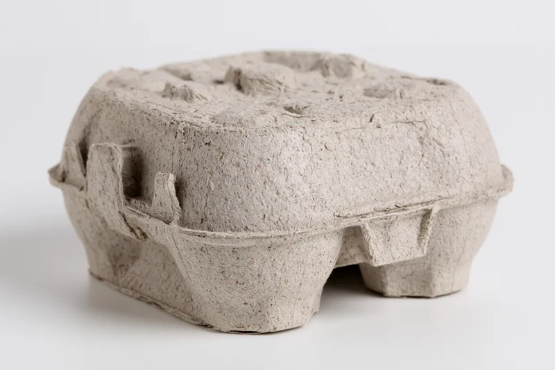 Closed cardboard egg carton on plain white surface